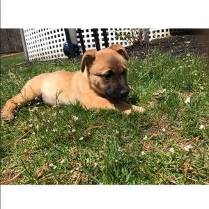 Meet your Posher, Courtney